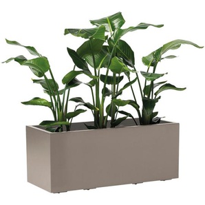 Xxxl Blumenkasten, Taupe, Kunststoff, 99.5x39.5x39.5 cm, stabil, wetterbeständig, UV-beständig, Gartenzubehör, Blumentöpfe