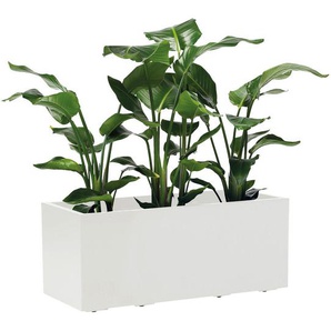 Xxxl Blumenkasten, Weiß, Kunststoff, 99.5x39.5x39.5 cm, stabil, wetterbeständig, UV-beständig, Gartenzubehör, Blumentöpfe